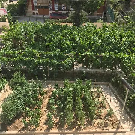 Bujtina Flowers Vendégház