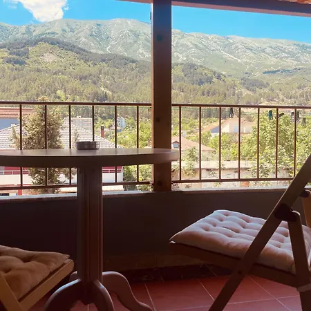 Bujtina Flowers Pensjonat 4*