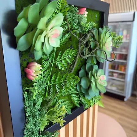 Gæstehus Bujtina Flowers Përmet