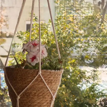 Pensjonat Bujtina Flowers 4*