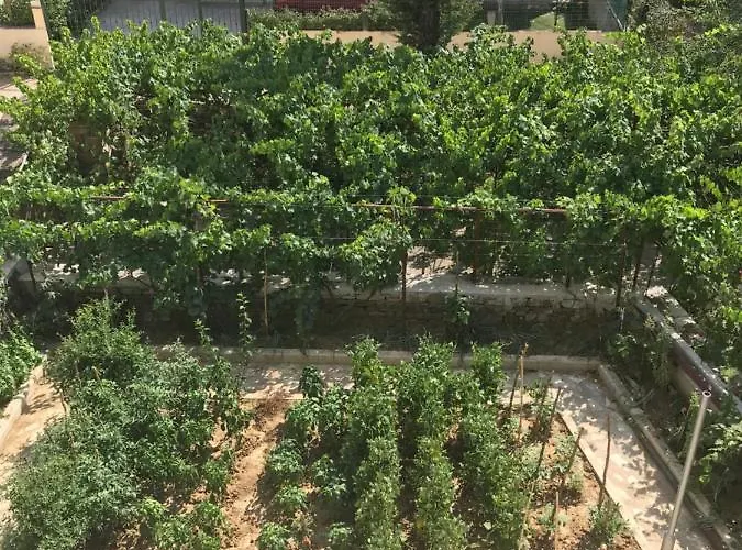 Bujtina Flowers Πανσιόν