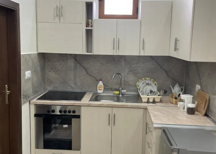 Πανσιόν Bujtina Flowers Πρεμετή