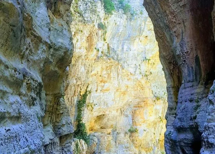 Bujtina Flowers 4* Πρεμετή