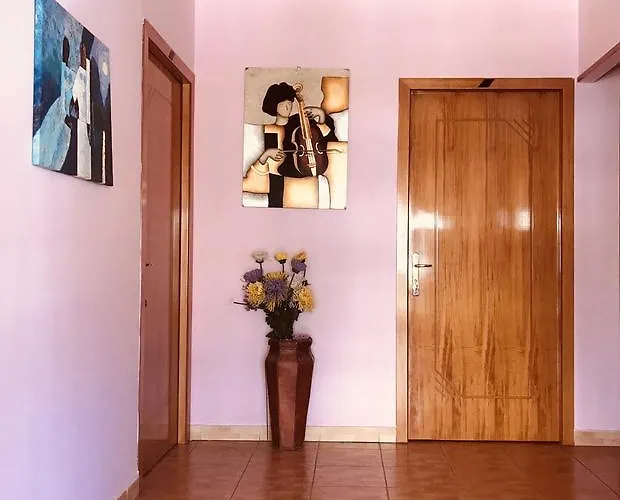 Bujtina Flowers 招待所 4*